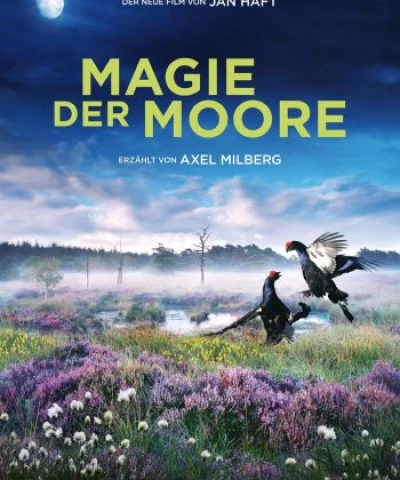 Magie der Moore